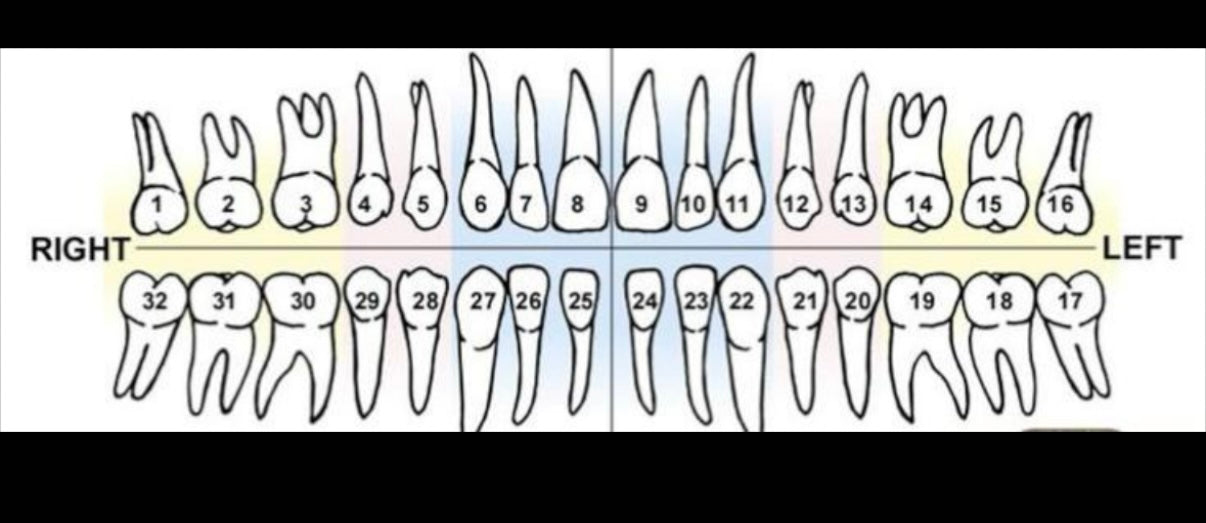 2 Teeth Star or Heart Grillz, Silver